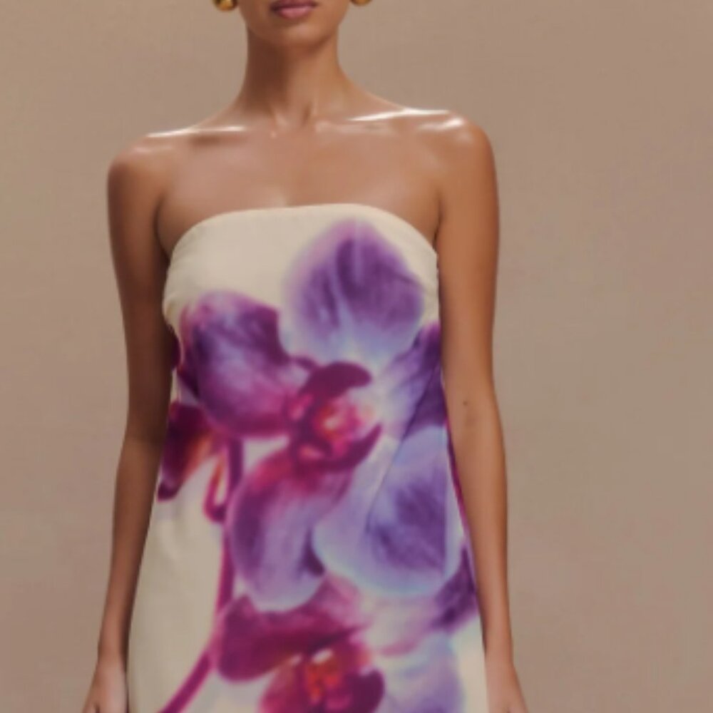 meshki amaya strapless chiffon maxi dress